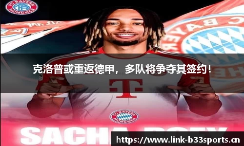 b33体育