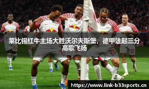 b33体育官网