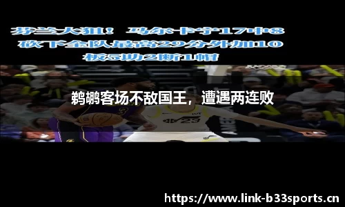 b33体育官网