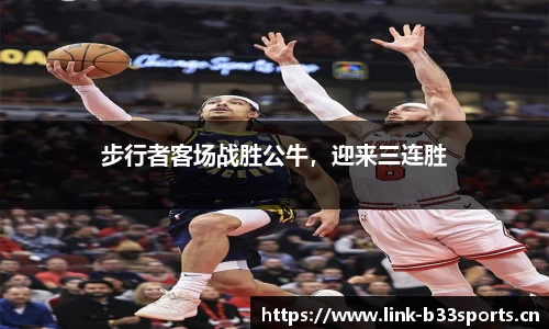b33体育官网