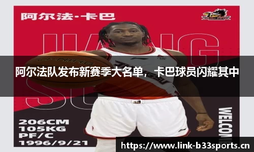 b33体育官网