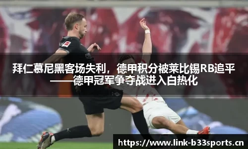 b33体育