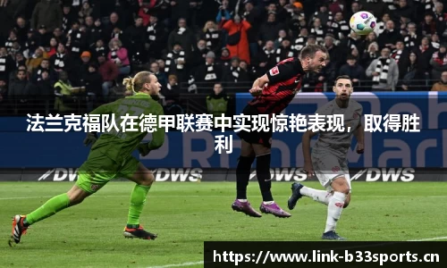 b33体育官网