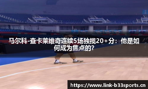 b33体育