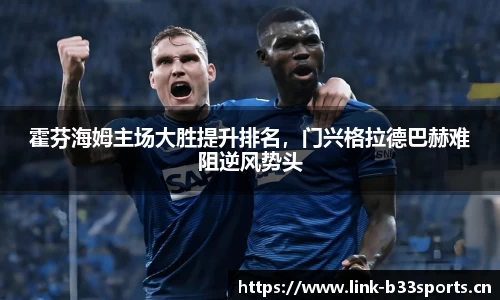 b33体育官网