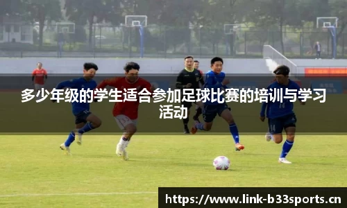 b33体育官网
