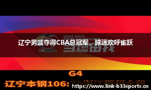 b33体育