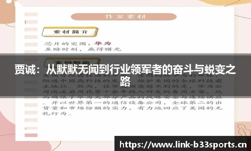 b33体育官网