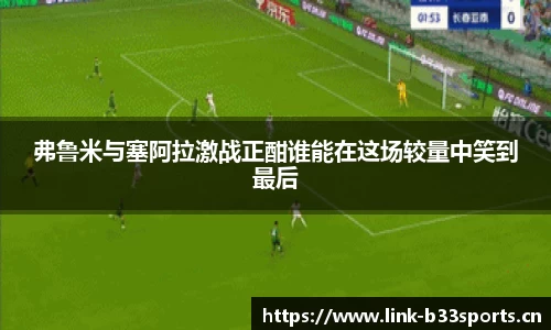 b33体育平台