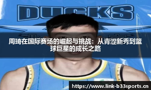 b33体育