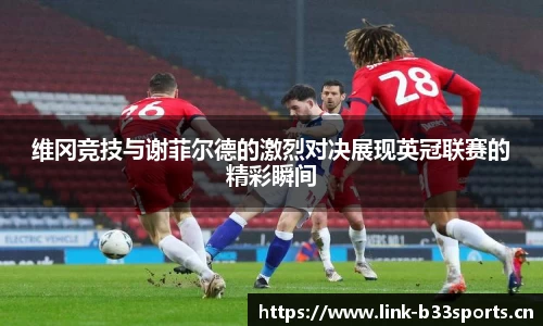 b33体育官网